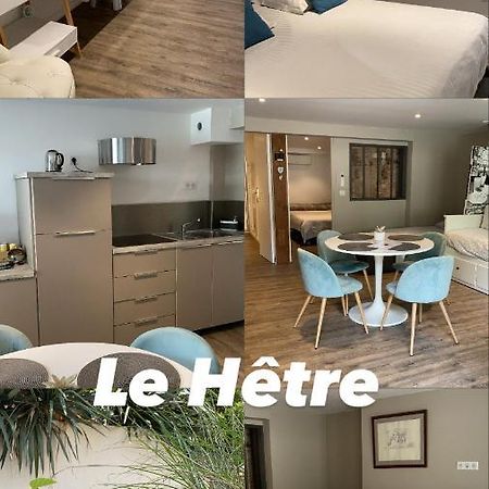 L'hetre Villa Saint-Sébastien-sur-Loire Buitenkant foto