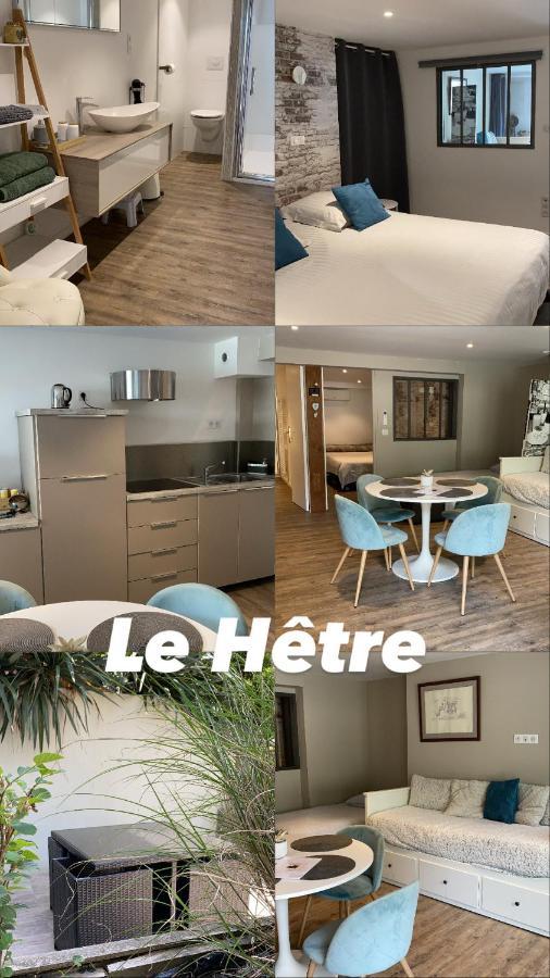L'hetre Villa Saint-Sébastien-sur-Loire Buitenkant foto